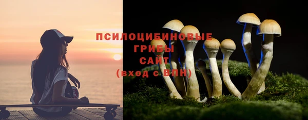 прущий лед Осташков