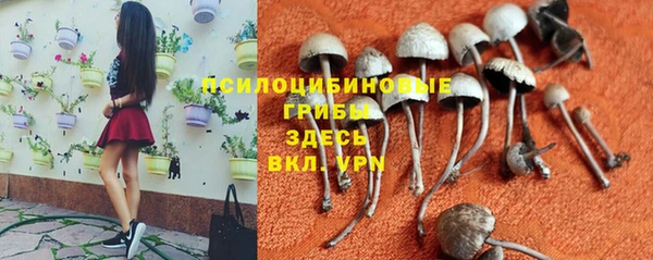 mdpv Магадан