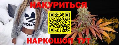 спиды Бийск