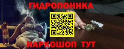 спиды Бийск