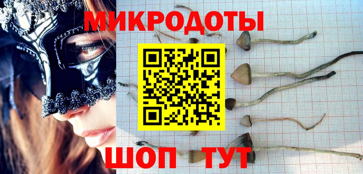 Экстази  Меф  ГАШ  Петровск  Конопля  Гарик  Мяу-Мяу  Купить закладку  A PVP  Вход с VPN 