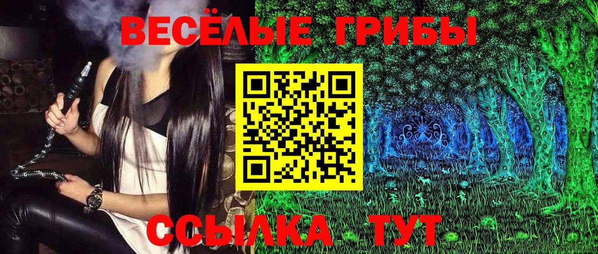 Галлюциногенные грибы мухоморы Петровск