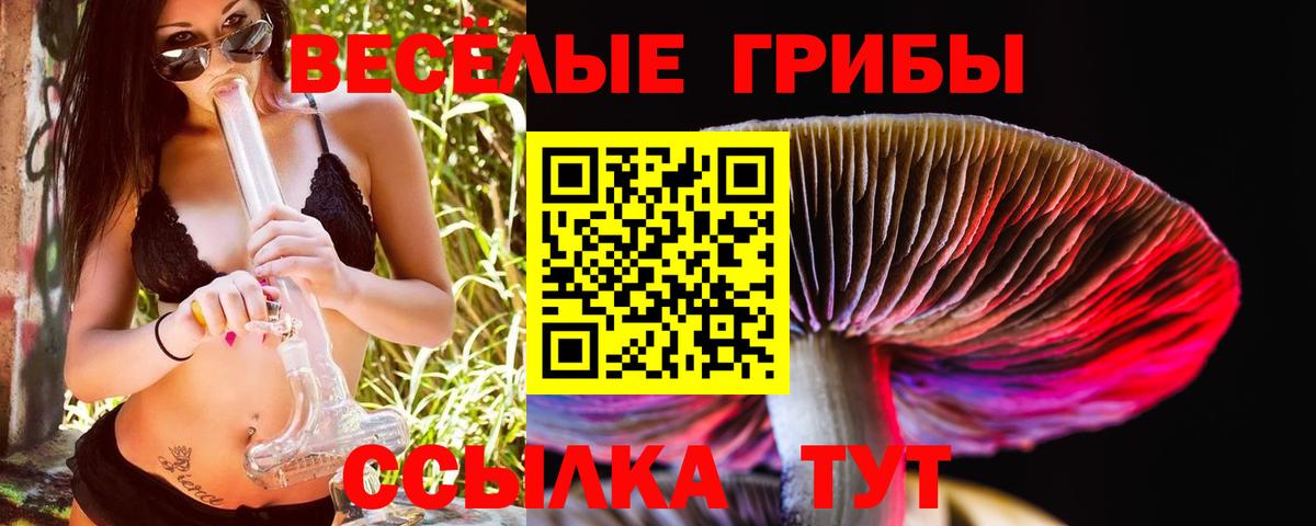 Галлюциногенные грибы Psilocybine cubensis  Вход с VPN  Петровск 