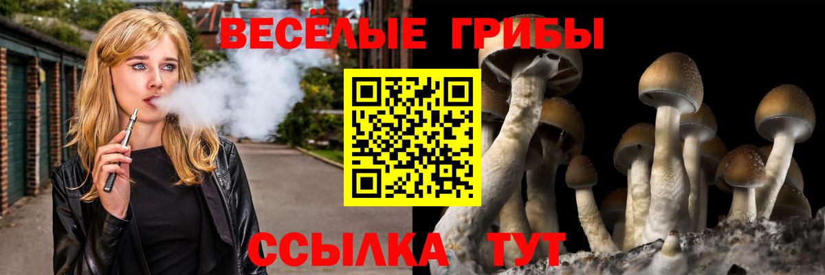 Псилоцибиновые грибы Cubensis Петровск