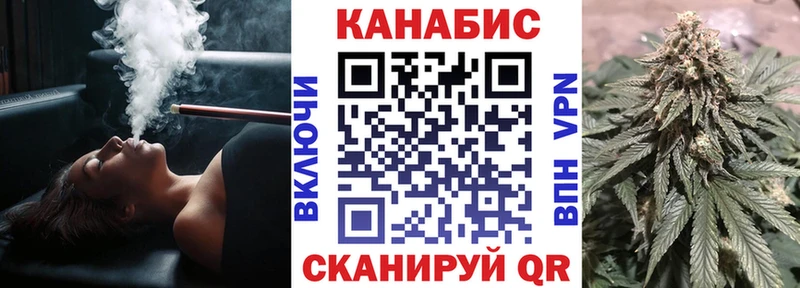 где купить наркоту  Петровск  Конопля ГИДРОПОН 